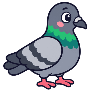 Pigeon